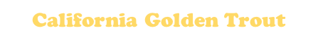 California Golden Trout